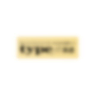 type IT派遣のロゴ