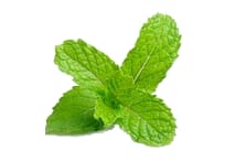 スクールみんと 日吉教室