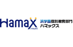 Hamax（ハマックス）のロゴ