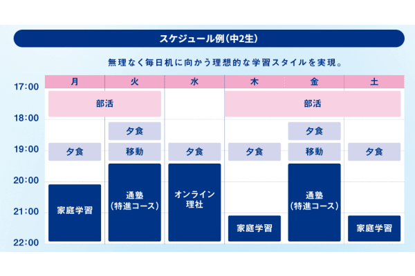 スケジュール例