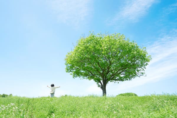 発達障害のお子様も対応可能な講師が、個性に合わせた学習環境を提供いたします