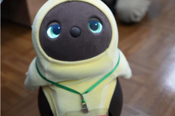 実際に触れ合い、考える