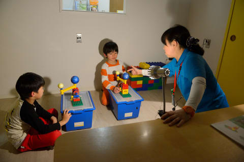 組み立てたモデルを使って、観察してみよう！