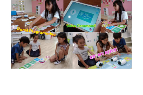 プログラミングでトライ＆エラーによる問題解決力の強化