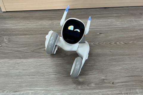 プログラミング機能搭載のロボット「loona」