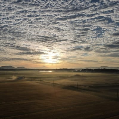 晩秋の松江の朝