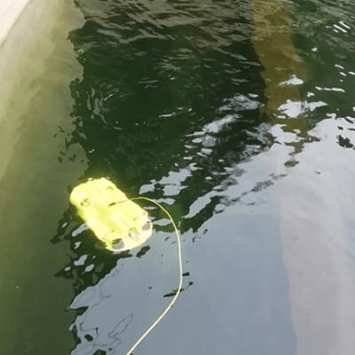 ドローン漁業　風景