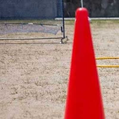 各専門分野の有識者のバックアップの...