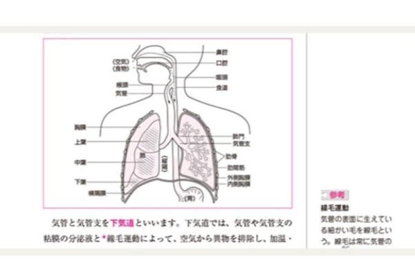 イラストや補足で重要な内容も理解しやすい