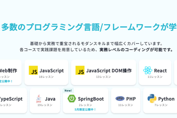 多数のプログラミング言語/フレームワークが学べる