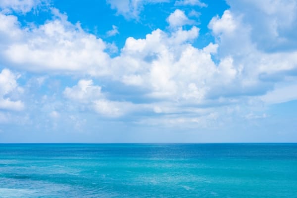 作るモノはお子様次第