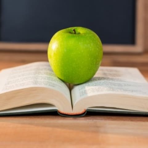 なりかわさやか