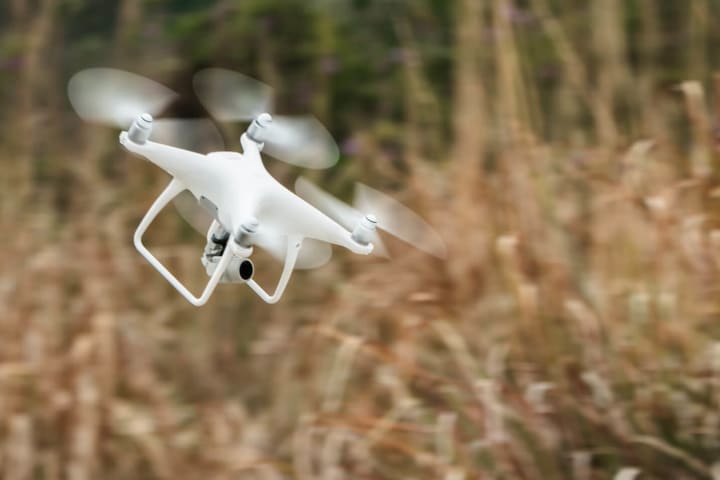 草むらの中を飛ぶドローン