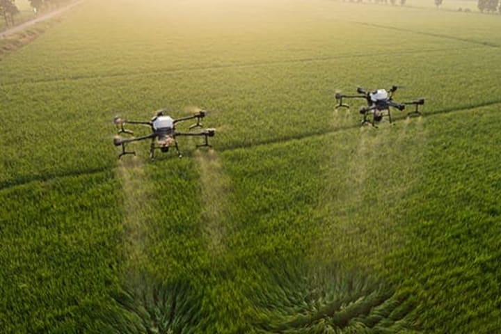 ヤンマーアグリジャパン新潟