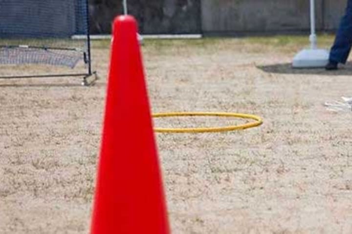 各専門分野の有識者のバックアップの...