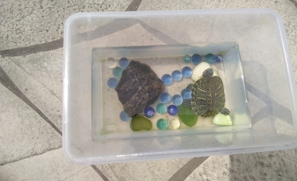 学研吉川美南教室の画像