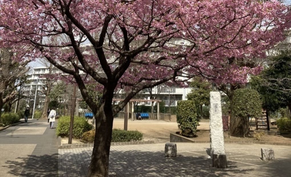 学研とよおか教室の画像