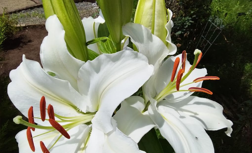 学研沼崎教室の画像