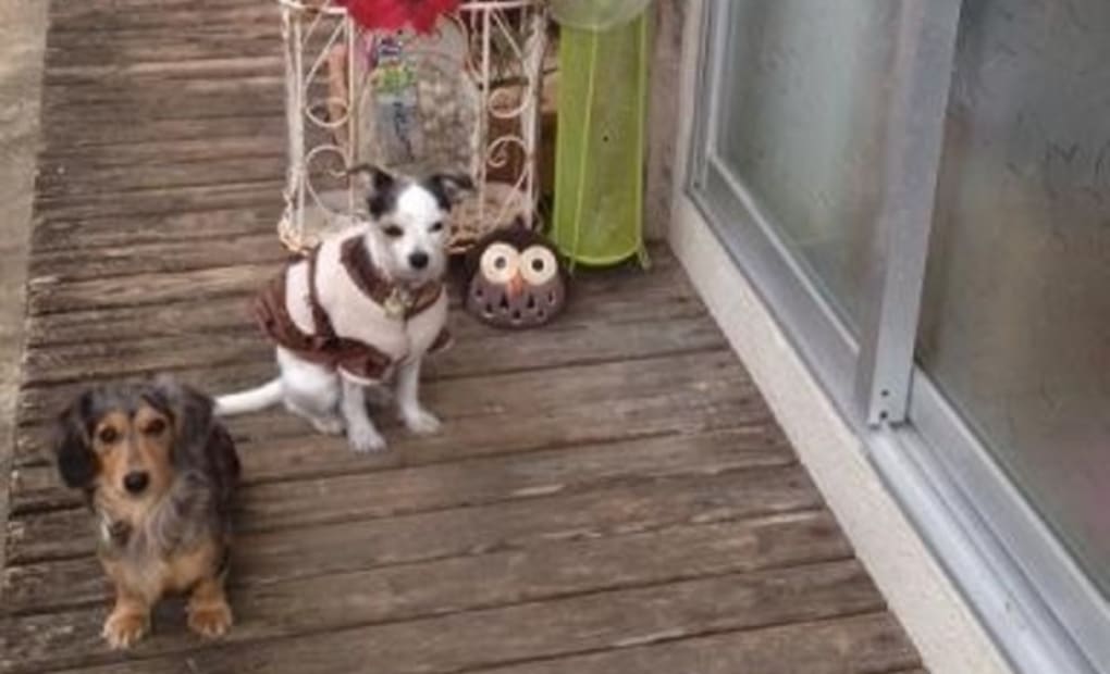 学研首里東教室の画像