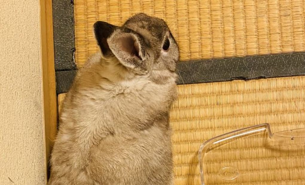 学研香住ケ丘教室の画像