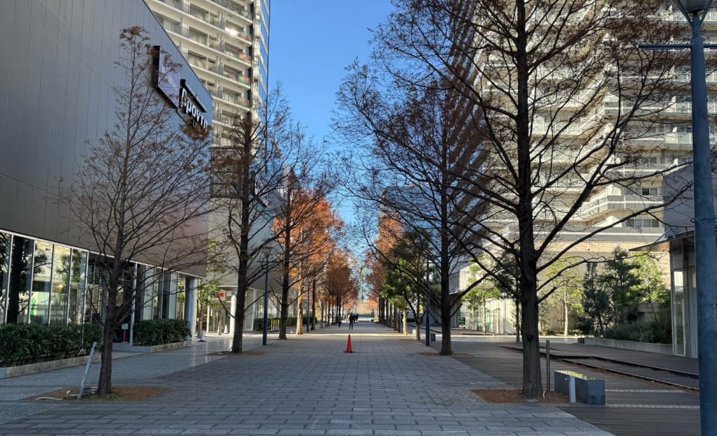 プログラミング教育 HALLO キッズデュオ みなとみらい校の画像