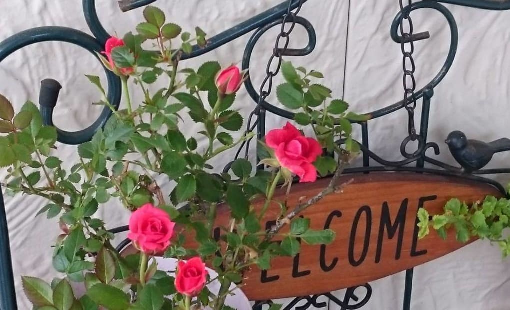 学研柿崎あすなろ教室の画像