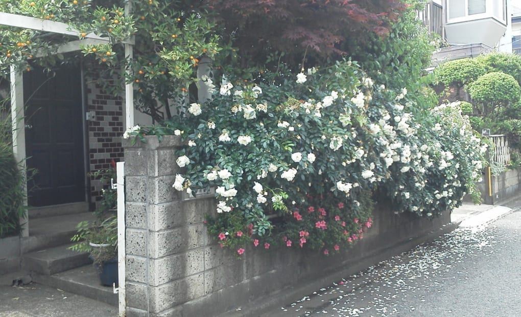 学研寺尾西教室の画像