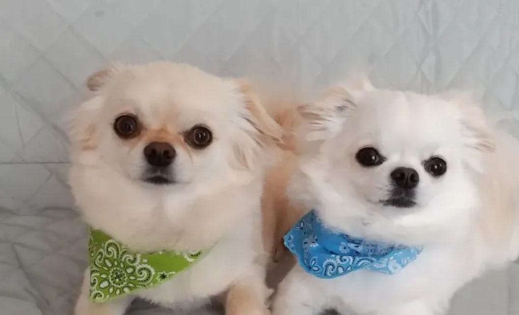 学研大人見教室の画像