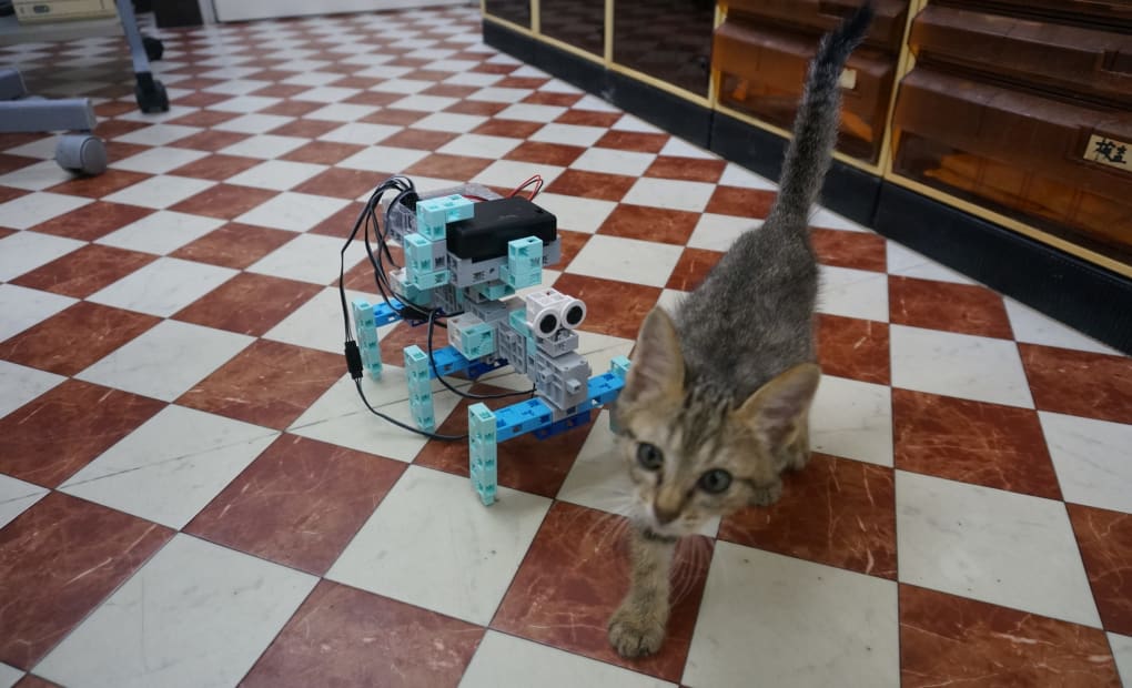 バレッドキッズ 尾張旭・旭教室の画像