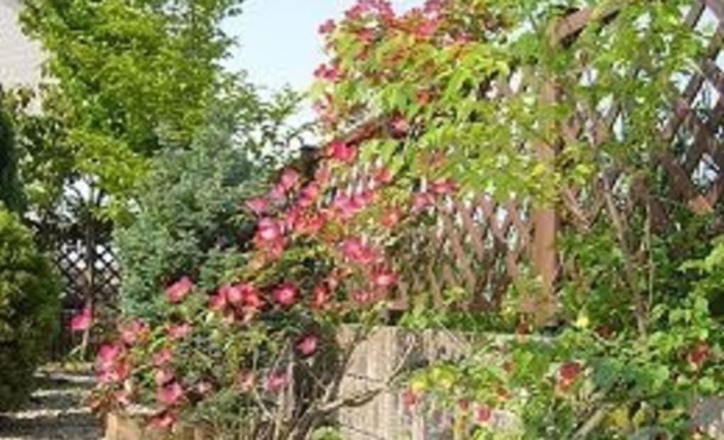 学研永和教室の画像