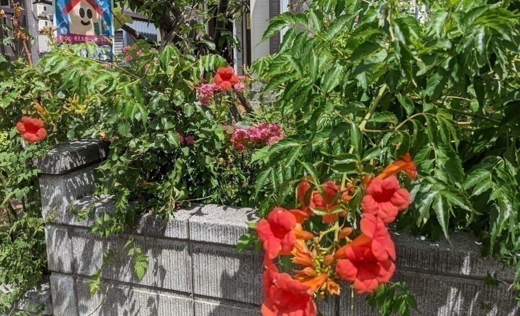 学研いなほ教室の画像