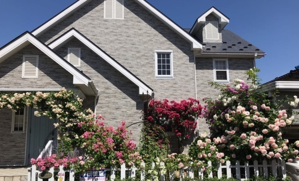 学研☆GICLいたがき教室の画像