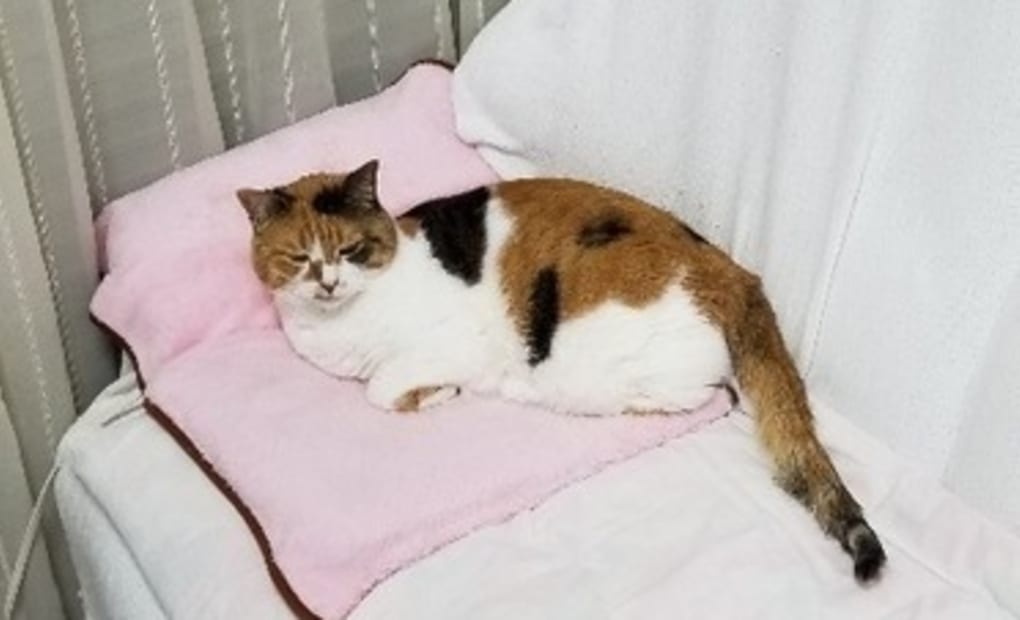 学研みなと教室の画像