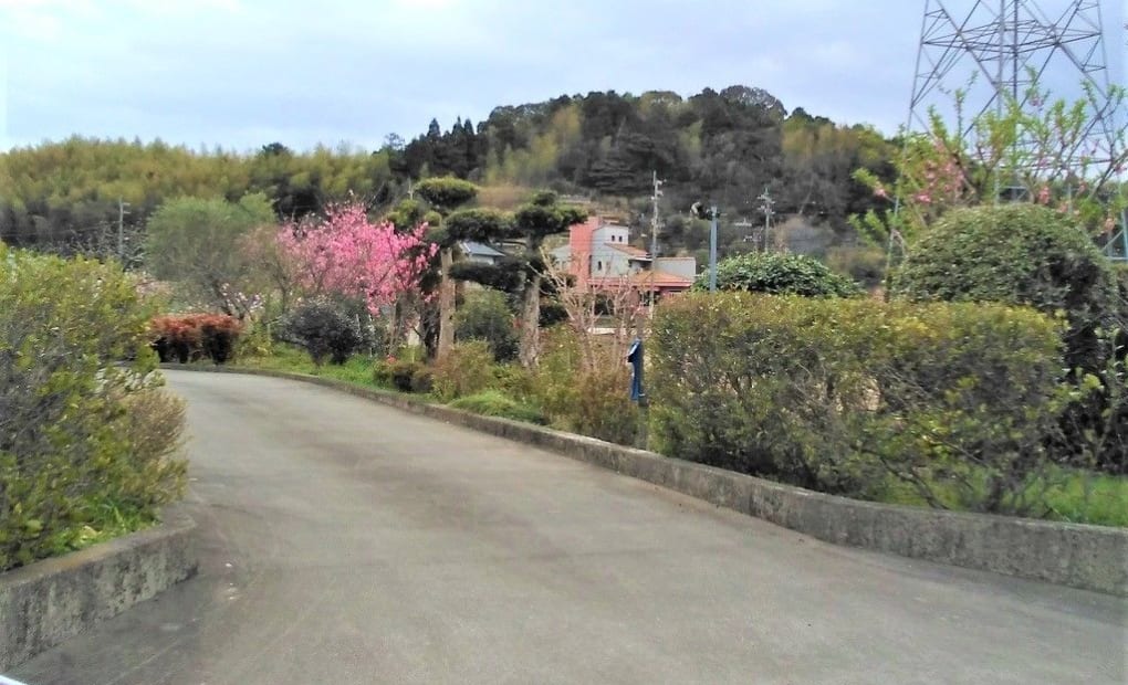 学研くわの教室の画像