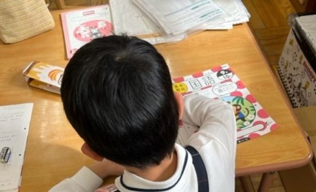 学研柿の実幼稚園教室の画像