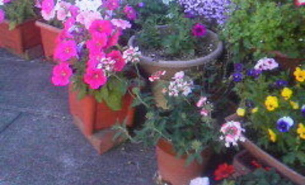 学研剣野教室の画像