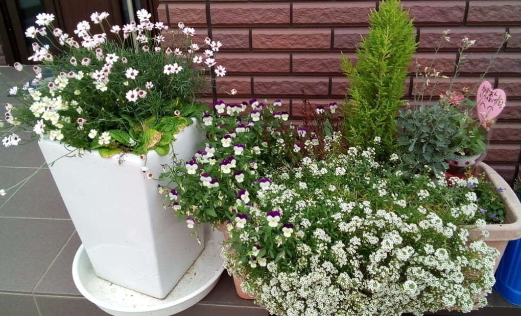 学研西山公園西教室の画像