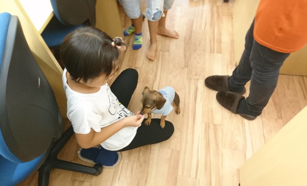 個別学習塾 育脳寺子屋 天六校の画像