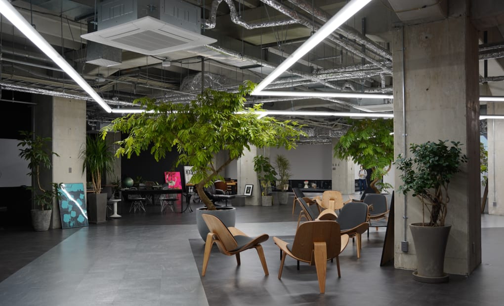 サイガクの画像