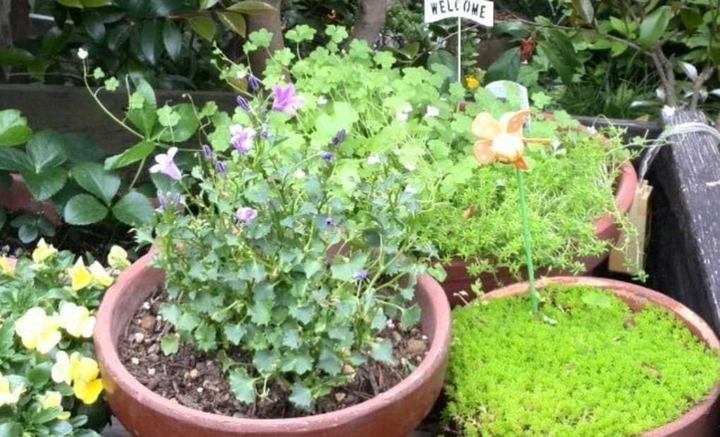 学研富永教室の画像