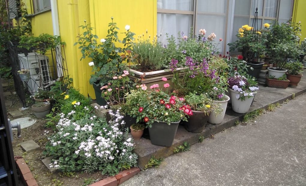 学研河内教室の画像