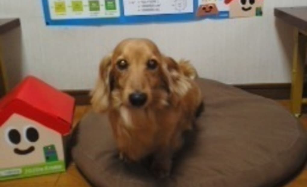 学研まつぞの教室の画像