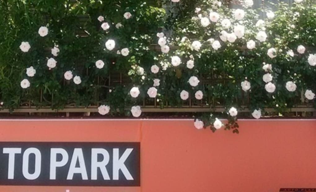 学研稲毛教室の画像