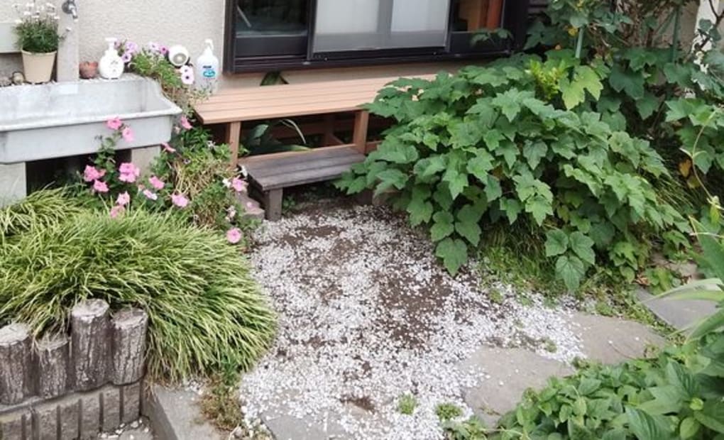 学研みずき台教室の画像