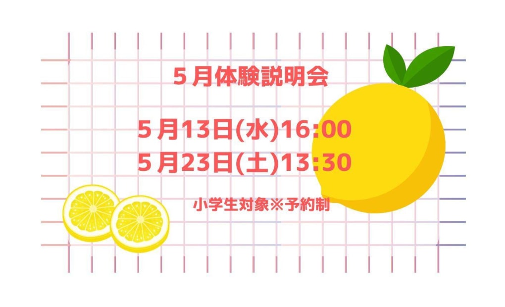 プログラミング教育 HALLO サンリツ楽器 泉崎センター校の画像