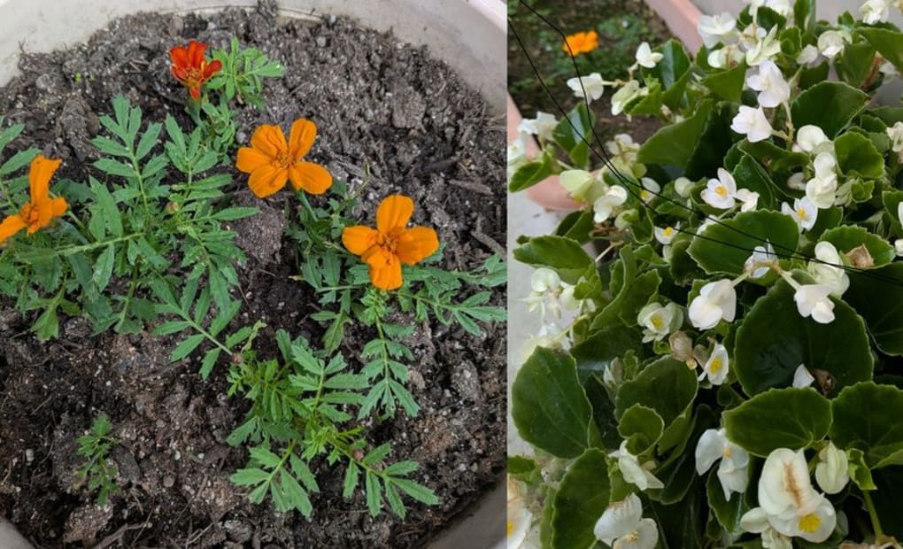 学研欠町東通教室の画像