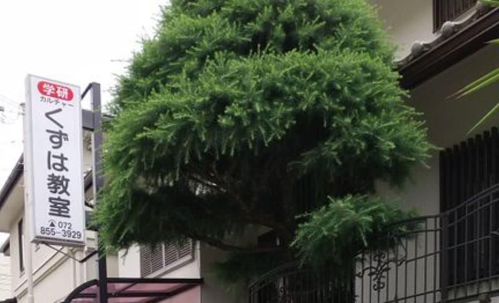 学研枚方くずは並木教室の画像