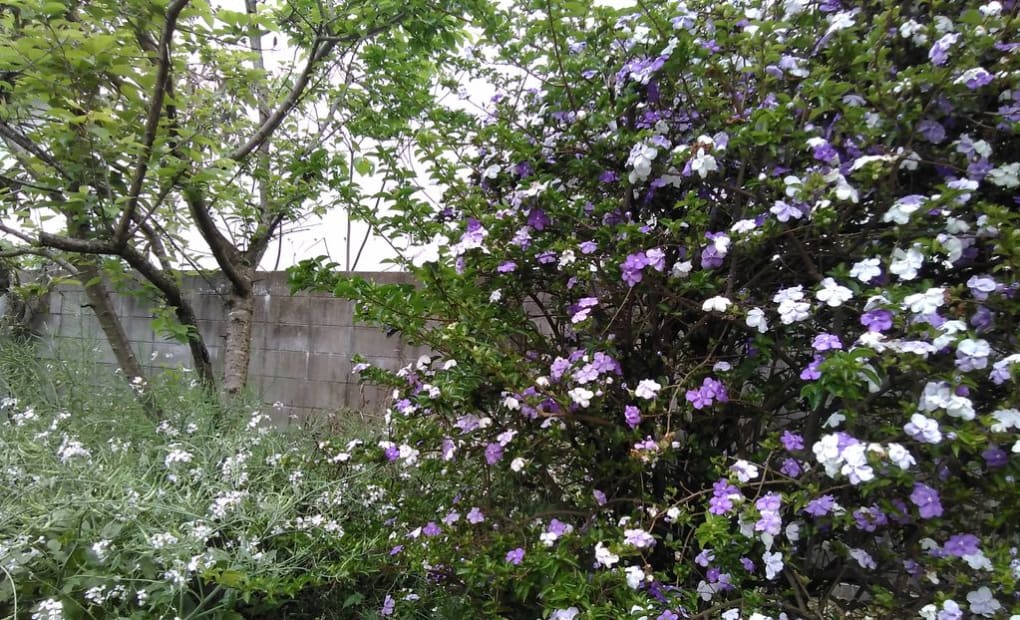 学研小松ほのぼの教室の画像