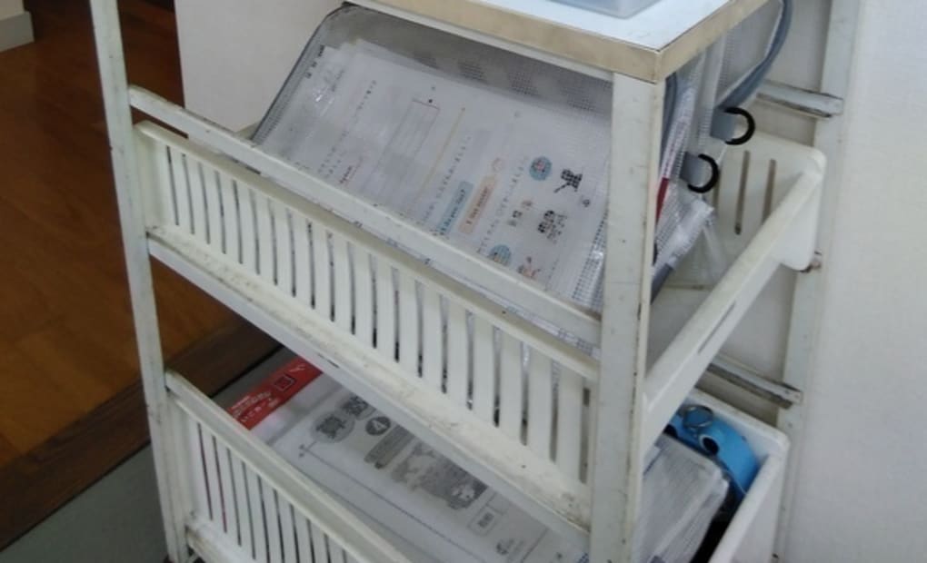 学研猫実教室の画像