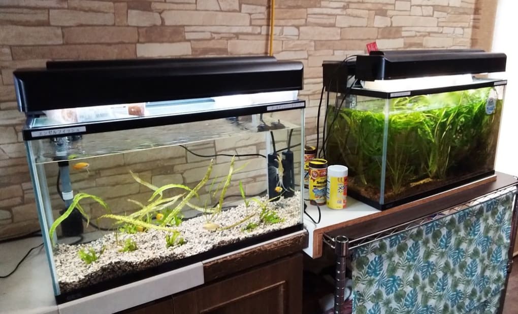 学研水橋SUN2畠等教室の画像